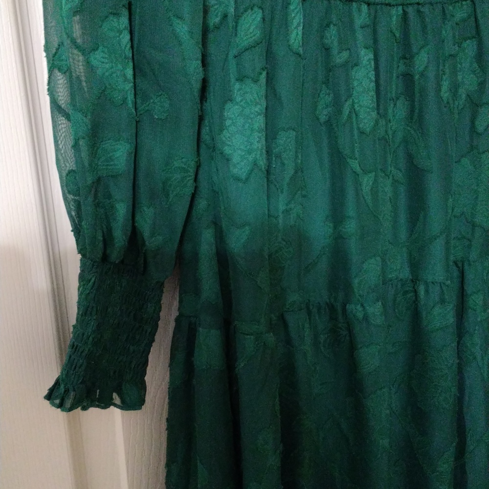 Emerald Green Long Sleeve Tiered Maxi Dress - Picture 5 of 7